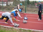 Soustředění - Horní Lideč 8. dubna 2011 – fotografie 13