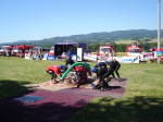 Veselá 10. července 2010 – fotografie 13