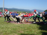 Veselá 10. července 2010 – fotografie 29