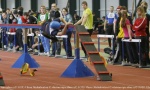 Jablonecká hala 12. dubna - 13. dubna 2013 – fotografie 21