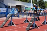 Krajské kolo PS - Uherský Brod 3. srpna 2013 – fotografie 26