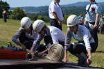 Veselá 11. července 2015 – fotografie 64