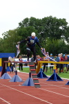 Krajské kolo PS - Hulín 6. srpna 2016 – fotografie 30