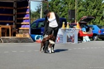 Dětské odpoledne ve Veselé 18. srpna 2012 – fotografie 18