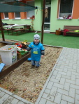 72 hodin - Pomáhám, protože chci! 14. října - 14. října 2016 – fotografie 15