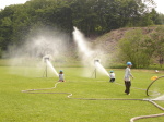 Huslenky 11. června 2005 – fotografie 59