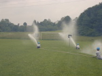 Huslenky 11. června 2005 – fotografie 6