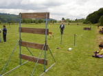Huslenky 11. června 2005 – fotografie 64