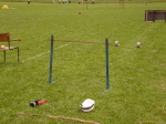 Huslenky 11. června 2005 – fotografie 65