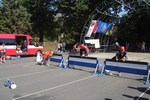 Olomoucký drak 6. září 2008 – fotografie 24