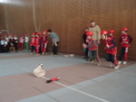 Halovka - Havířov 28. února 2009 – fotografie 3