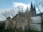 Memoriál Marty Habadové - Praha 6. listopadu 2010 – fotografie 31