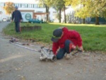 Šumperský Soptík 2. října 2010 – fotografie 16