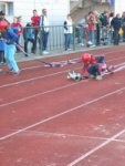 Šumperský Soptík 2. října 2010 – fotografie 23