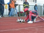 Šumperský Soptík 2. října 2010 – fotografie 26