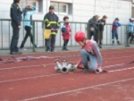 Šumperský Soptík 2. října 2010 – fotografie 30