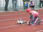 Šumperský Soptík 2. října 2010 – fotografie 31