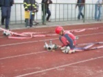 Šumperský Soptík 2. října 2010 – fotografie 35