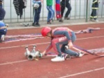 Šumperský Soptík 2. října 2010 – fotografie 37