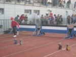 Šumperský Soptík 2. října 2010 – fotografie 43