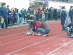 Šumperský Soptík 2. října 2010 – fotografie 10