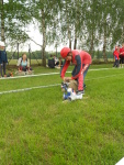 Obvodové kolo Plamen - Lešná 12. května 2012 – fotografie 17