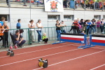 Šumperský Soptík 30. září - 1. října 2016 – fotografie 57