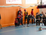 Havířov 25. února - 25. února 2017 – fotografie 10