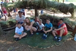 Letní tábor - Posekanec 16. července - 26. července 2017 – fotografie 259