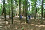 Letní tábor - Mosty u Jablůnkova 22. července - 31. července 2021 – fotografie 17